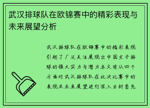 武汉排球队在欧锦赛中的精彩表现与未来展望分析